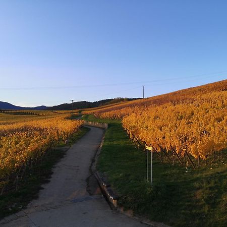 L'Altenberg 베아카임 외부 사진