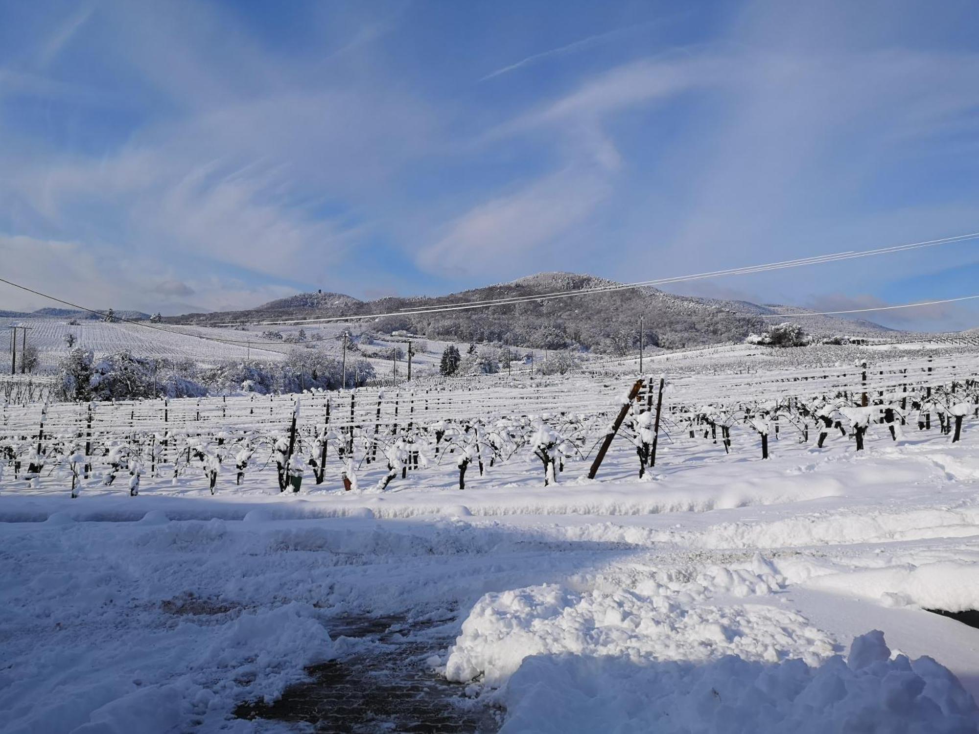 L'Altenberg 베아카임 외부 사진